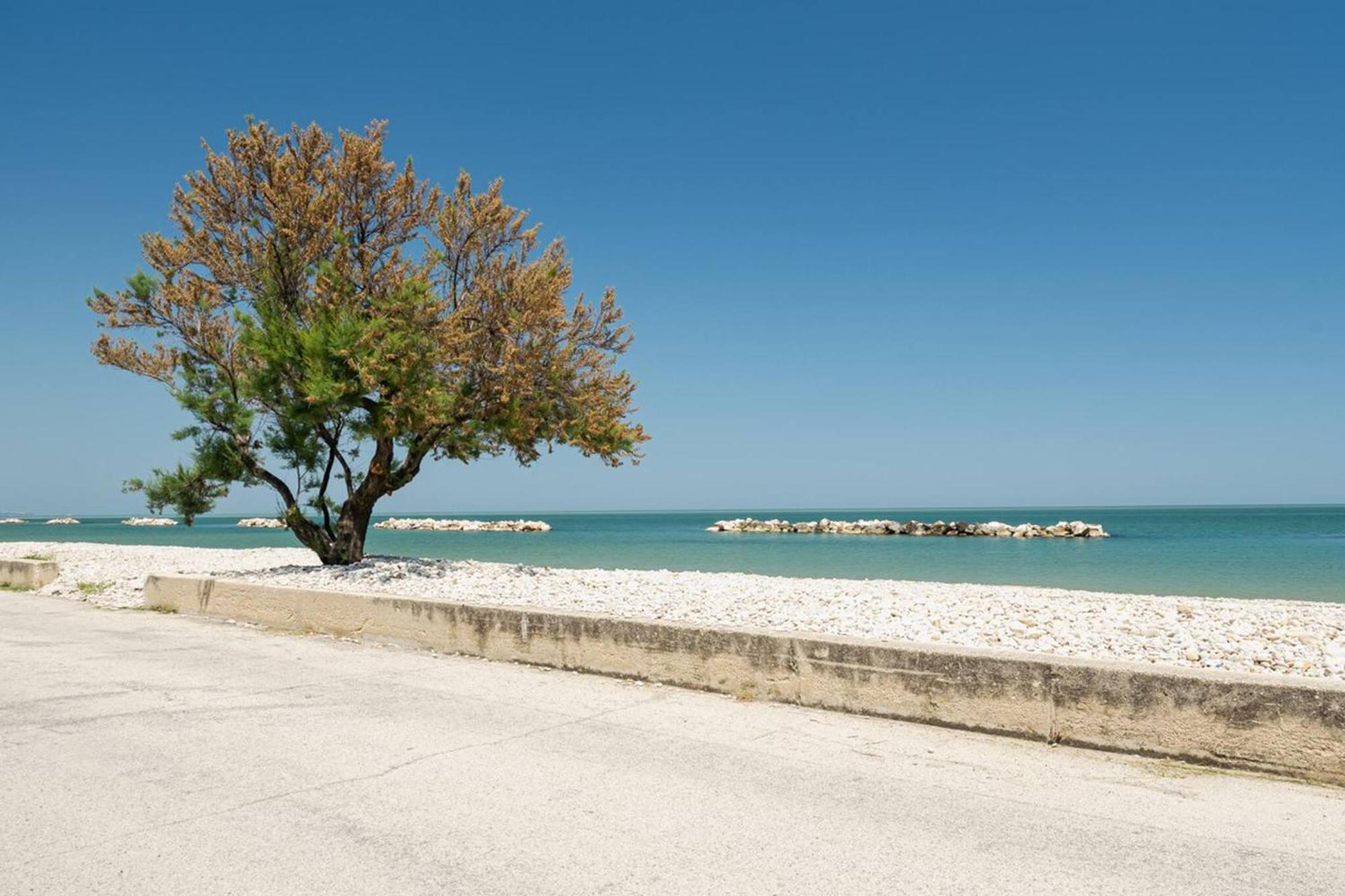 Ostriche - Yourplace Abruzzo 托里诺迪桑格罗 外观 照片